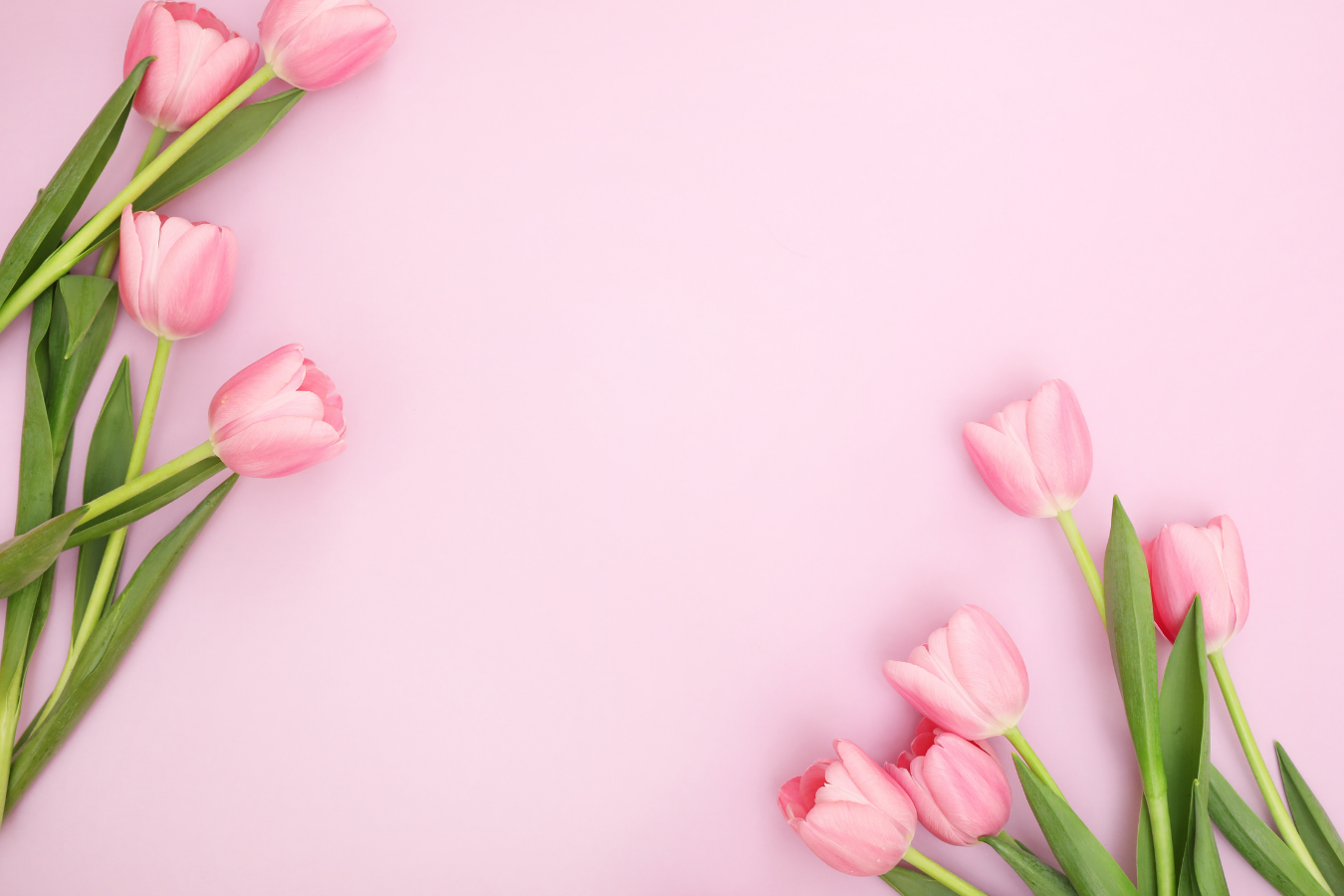 Marec posvečamo vsem ženskam!